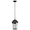 Nuvo East River Outdoor Hanging Lantern 1 Light Matte Black Finish 60/5944 - alternate 4